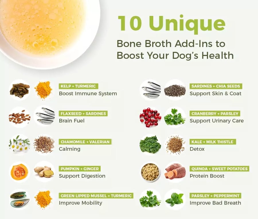 Best bone broth for dogs shop
